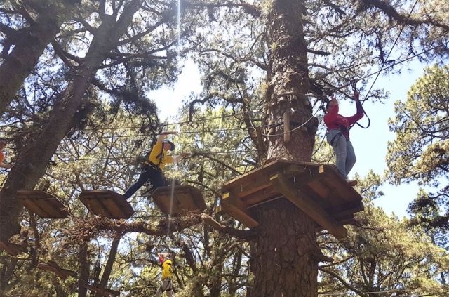 Juegos entre arboles.JPG